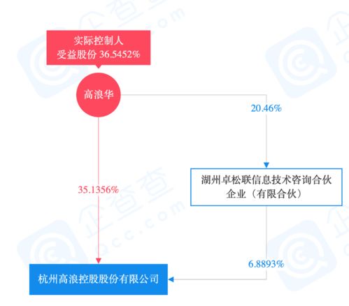 高浪与联合利华强强联手 合资公司gouni引领市场营销新篇章